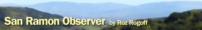 The Observer